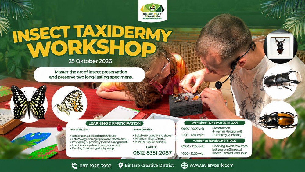 Insect Taxidermy Workshop Aviary Park: Belajar Preservasi Serangga & Bawa Pulang Karyamu