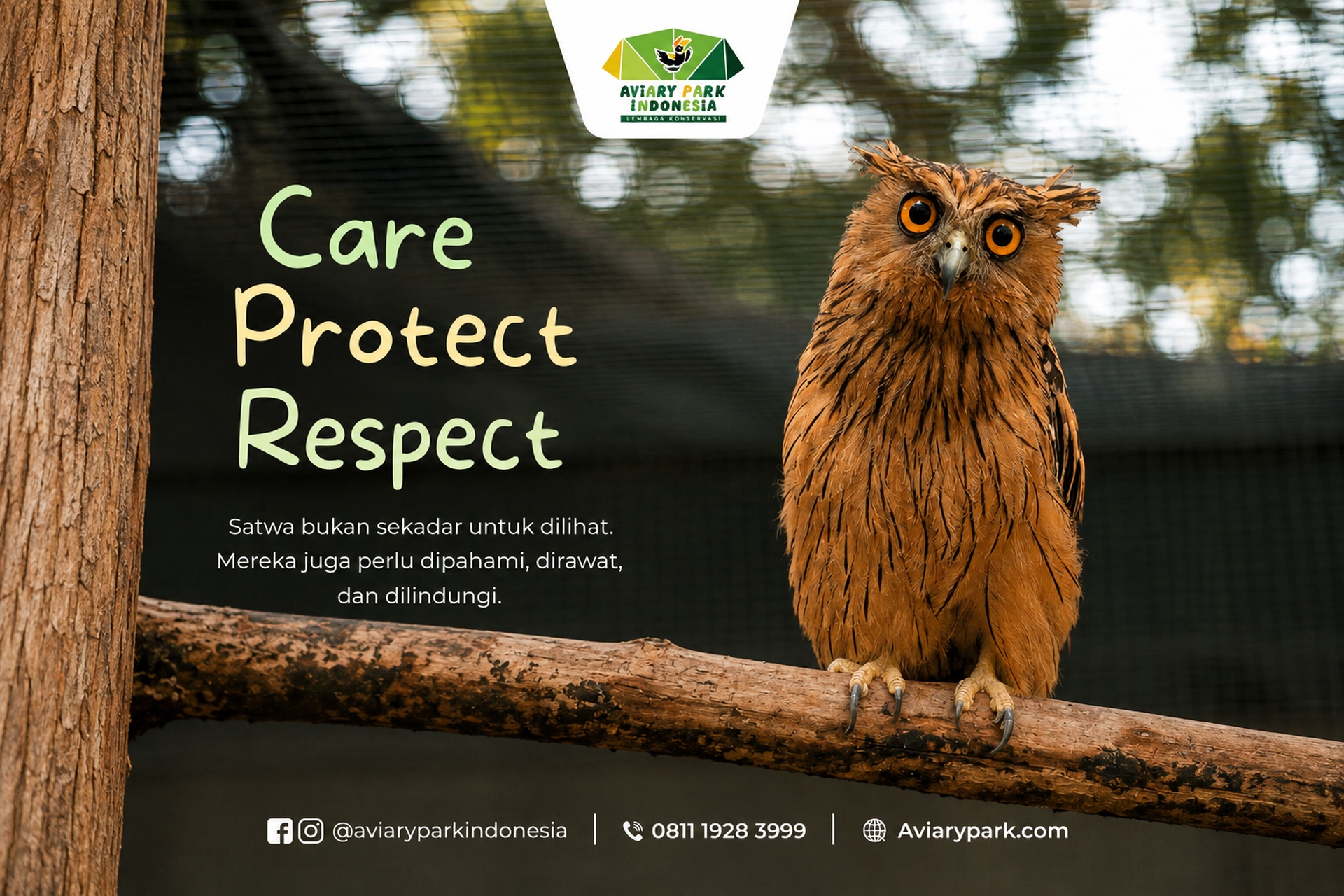Care Protect Respect